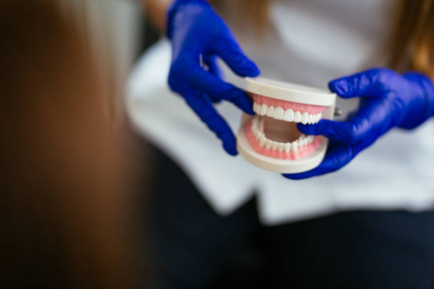 Why Choose Us for Your Dental Needs in Roebuck, SC
